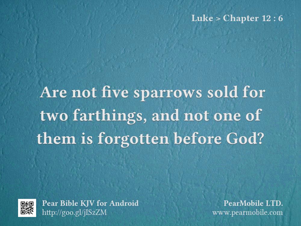 Luke, Chapter 12:6